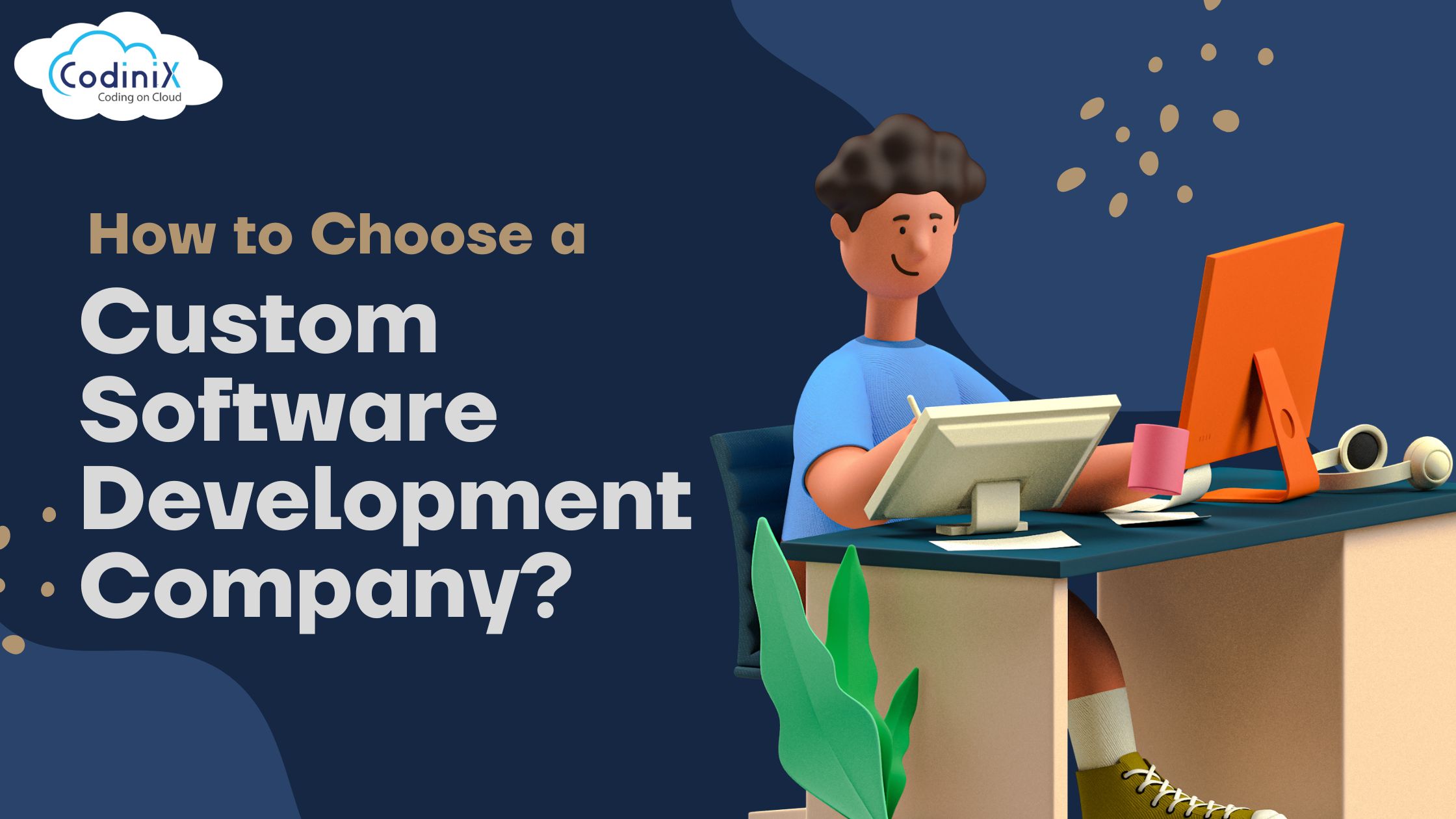 How to Choose a Custom Software Development Company?