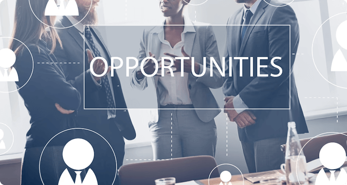 Codinix - Salesforce lead opportunity management